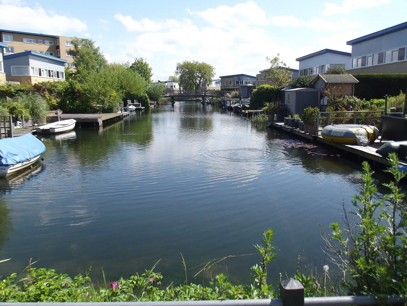 Woonwijk aan het water met woningen en een houten brug in Lelystad